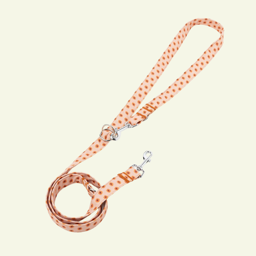 Fleur | Laisse pour chien à fleurs - ville & multipositions, fait main