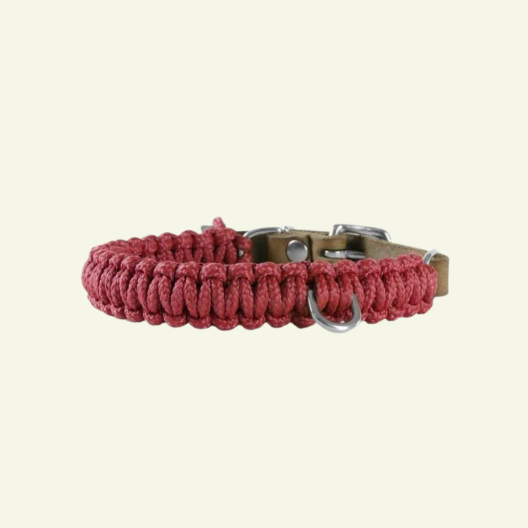 Touch | Collier pour chien en corde et cuir – Finition laiton ou acier (9 coloris) - Jean - Poil - Bordeaux