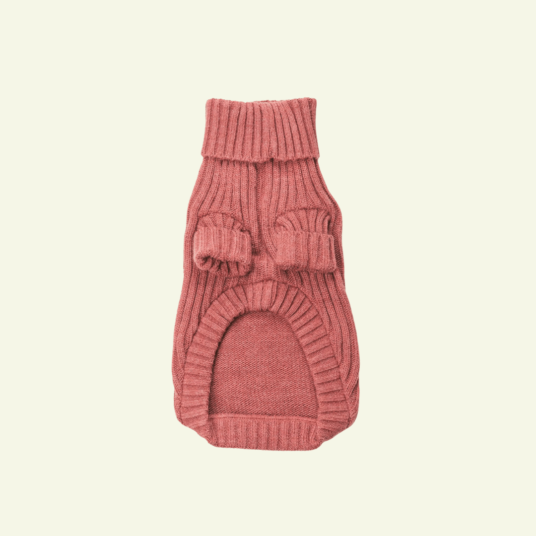 Argile | Pull pour chien rouge brique - chaud & élégant - Jean - Poil - XS
