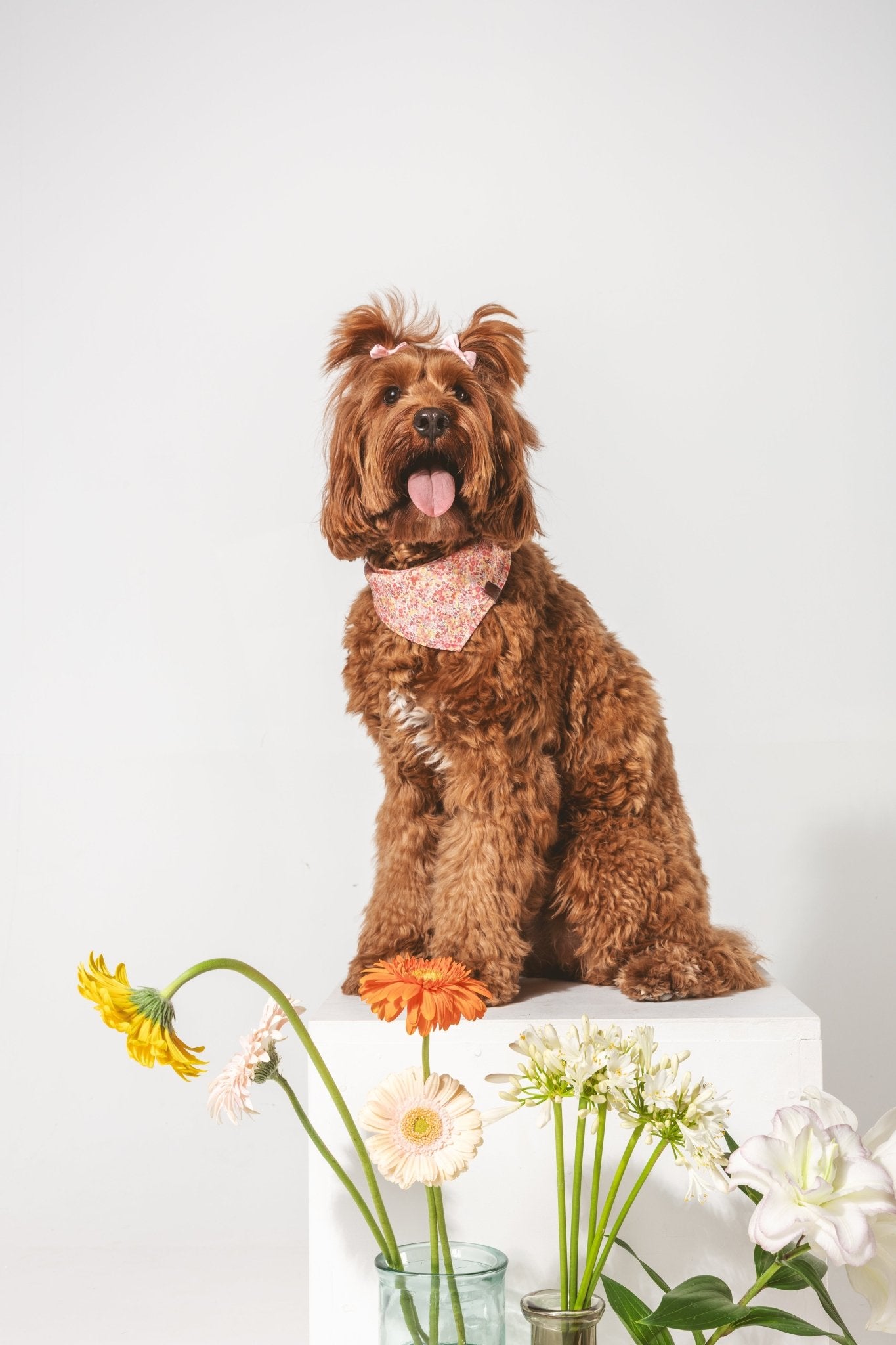 Blossom | Bandana pour chien à motif floral, fait main - Jean - Poil - S