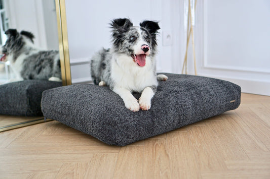 Buklaa | Coussin orthopédique pour chien en bouclette - Jean - Poil - Beige