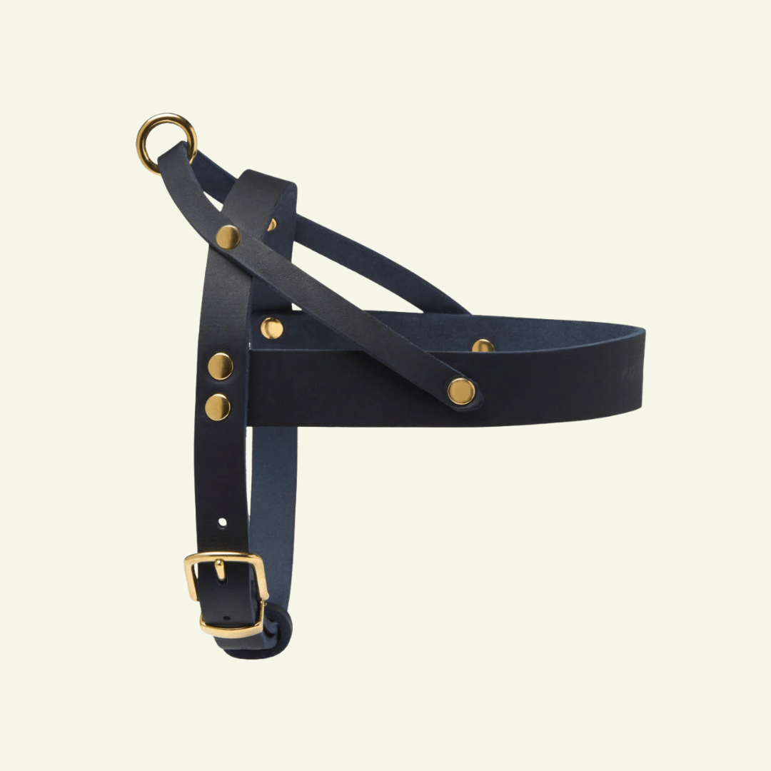 Butter | Harnais ajustable pour chien en cuir & laiton massif (11 coloris) - Jean - Poil - Bleu marine