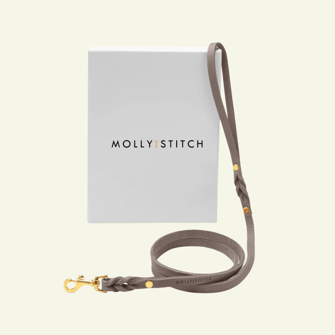Butter | Laisse de ville pour chien en cuir & laiton massif (11 coloris) - Jean - Poil - Taupe