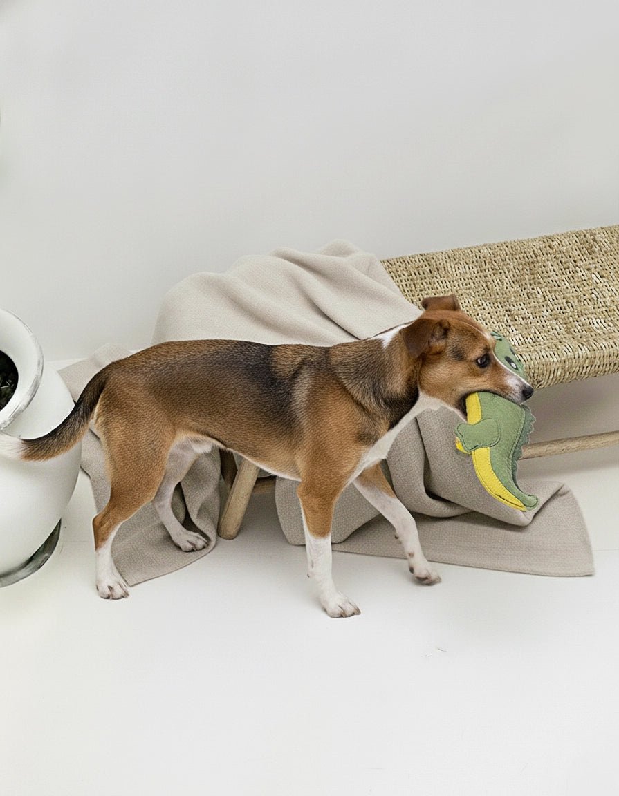Croco XL | Jouet pour chien en chutes de cuir et fibres de coco - Jean - Poil -