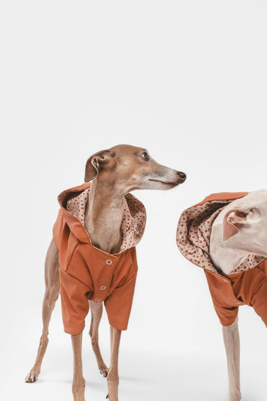 Julieta | Veste imperméable pour chien terracotta - Légère & élégante - Jean - Poil -