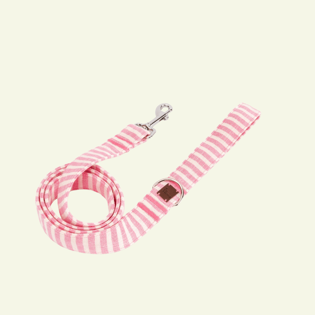 Levante | Laisse pour chien rayée – style bord de mer, ville & multipositions, fait main - Jean - Poil - XS