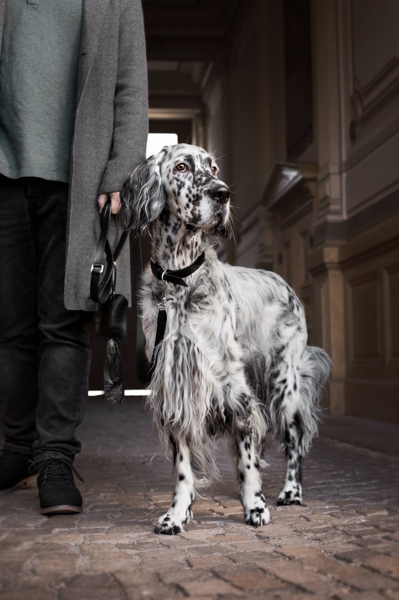 Lussa | Laisse pour chien en cuir italien - Noir - Jean - Poil -