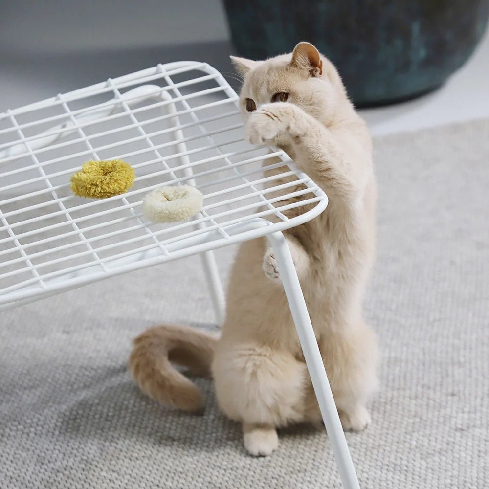 Mini Donuts | Jouets crépitants pour chat, lot de 3 - Jean - Poil -