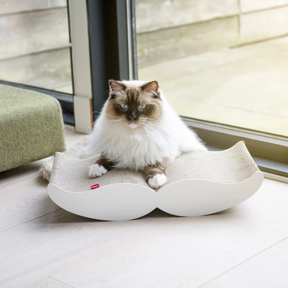 Moustache | Meuble à griffer en carton recyclé pour chat - Jean - Poil - Noir