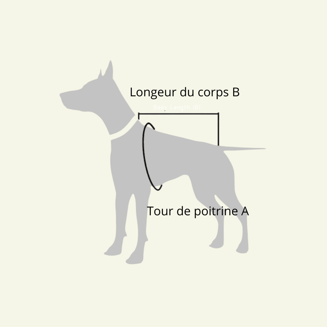 Pullo | Pull pour chien en laine italienne - Jean - Poil -