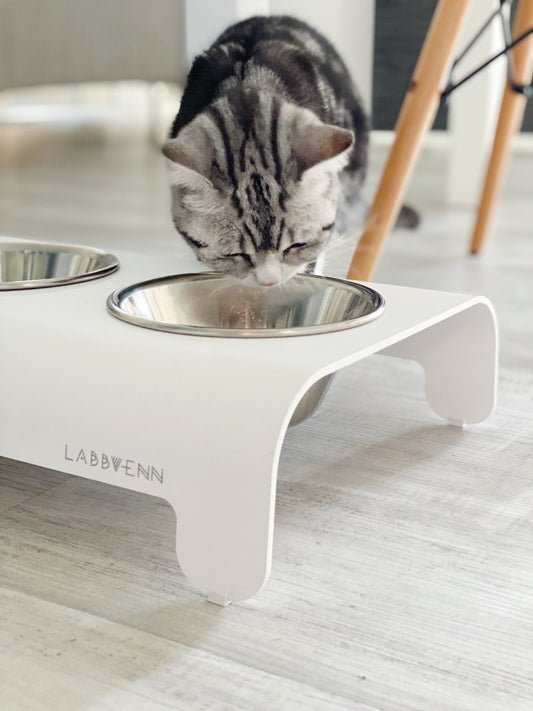 Rico | Double gamelle design pour chat - Jean - Poil - Mokka