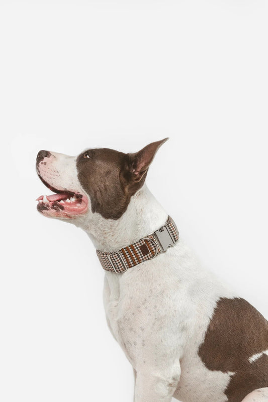 Roméo | Collier pour chien à motif pied - de - poule marron avec fermeture rapide, fait main - Jean - Poil - 2XS