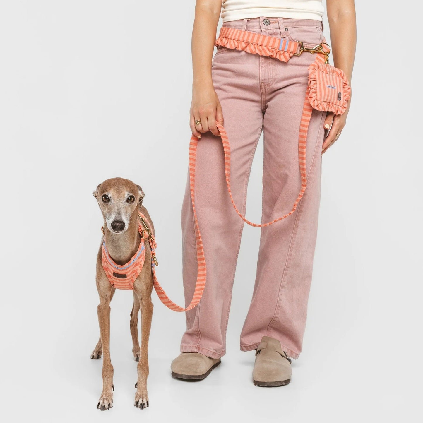 Sintra | Distributeur de sacs pour chien rayé orange - Jean-Poil -