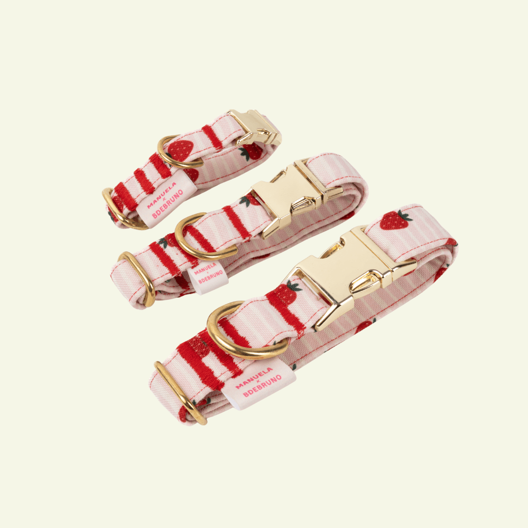 Strawberry | Collier pour chien à rayures roses - motif fraises, fait main - Jean - Poil - 2XS