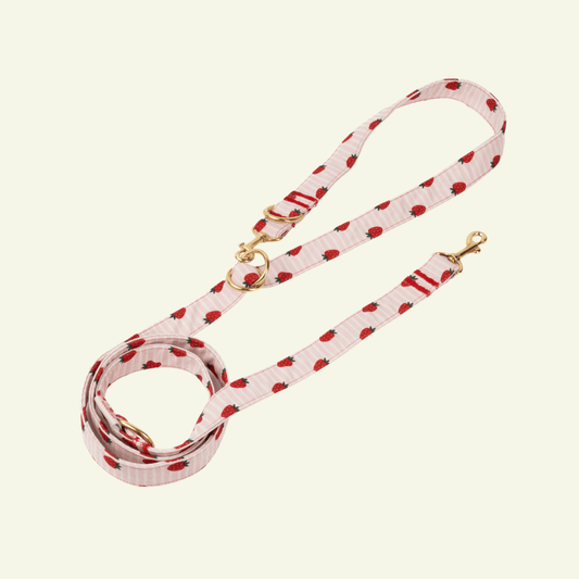 Strawberry | Laisse pour chats motif fraises, ville & multipositions, fait main - Jean - Poil - Multipositions