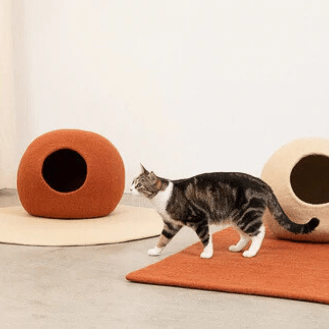 Cabanes, Maisons & Tipis chat - Jean-Poil
