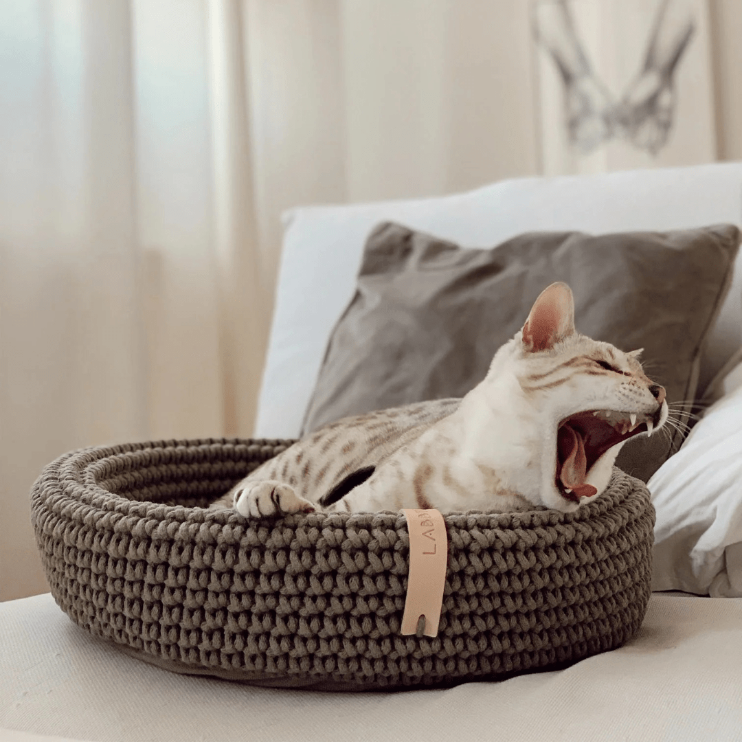 Paniers chat - Jean-Poil