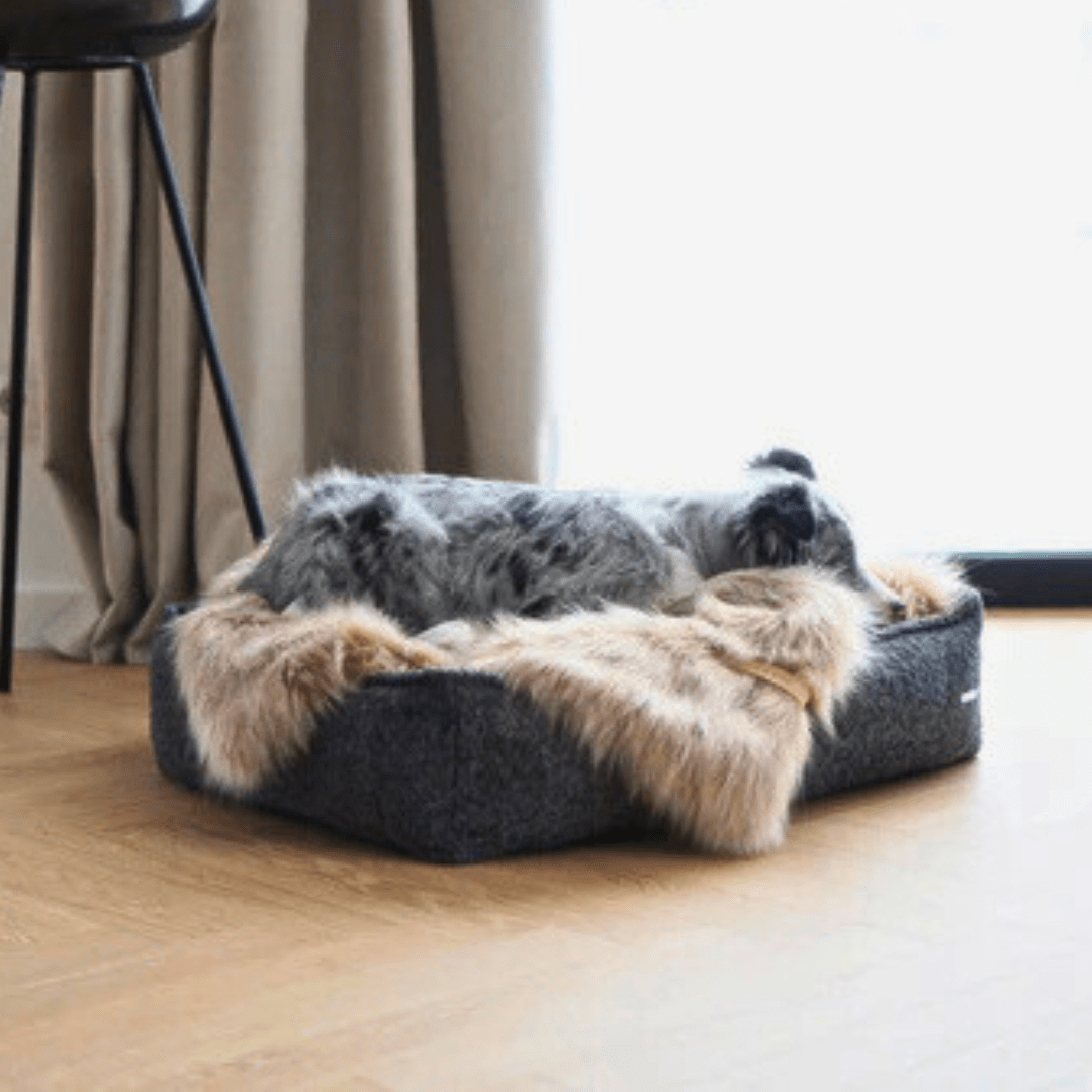 Tout pour la sieste - Jean-Poil