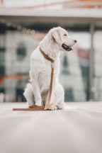 Lussa | Laisse pour chien en cuir italien - Camel