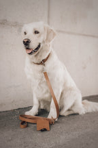 Lussa | Laisse pour chien en cuir italien - Camel