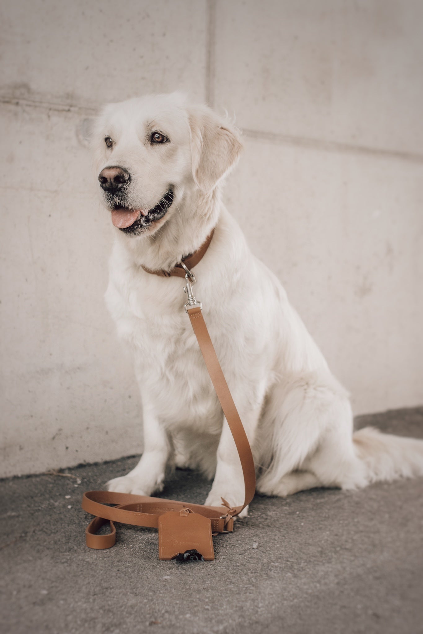 Lussa | Laisse pour chien en cuir italien - Camel