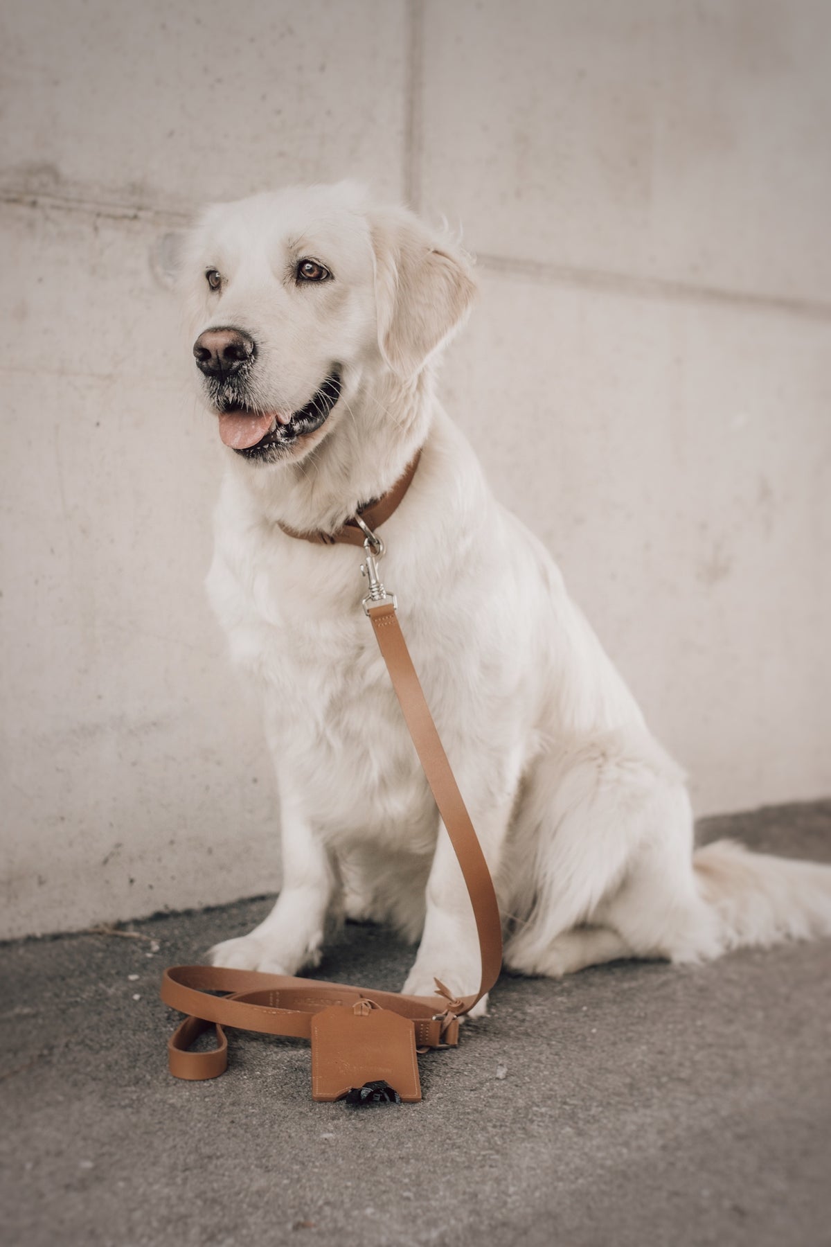 Lussa | Laisse pour chien en cuir italien - Camel