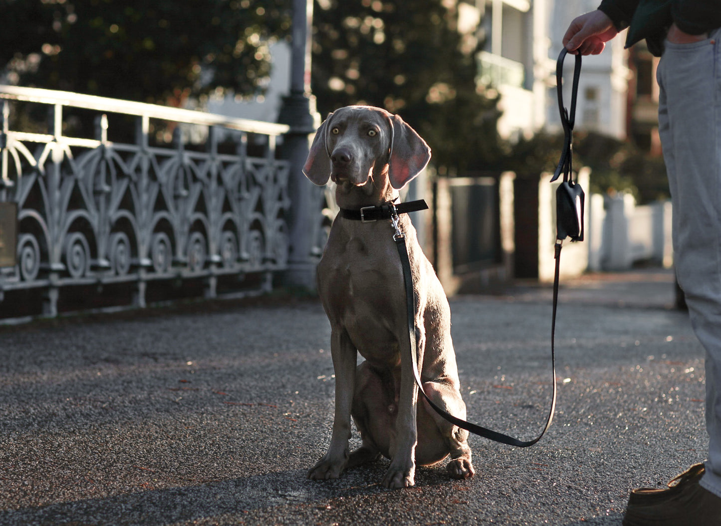 Lussa | Laisse pour chien en cuir italien - Noir