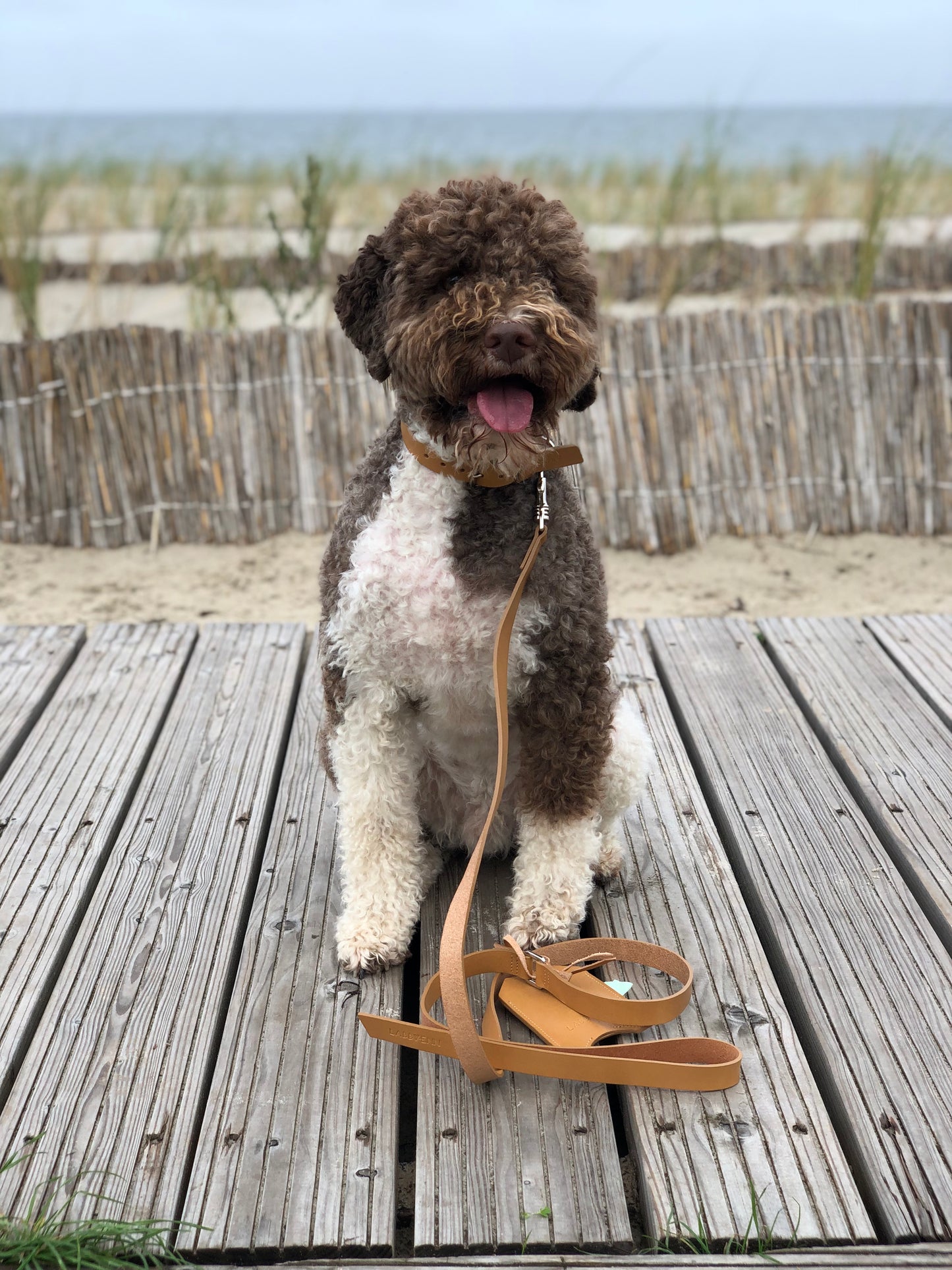 Lussa | Laisse pour chien en cuir italien - Camel