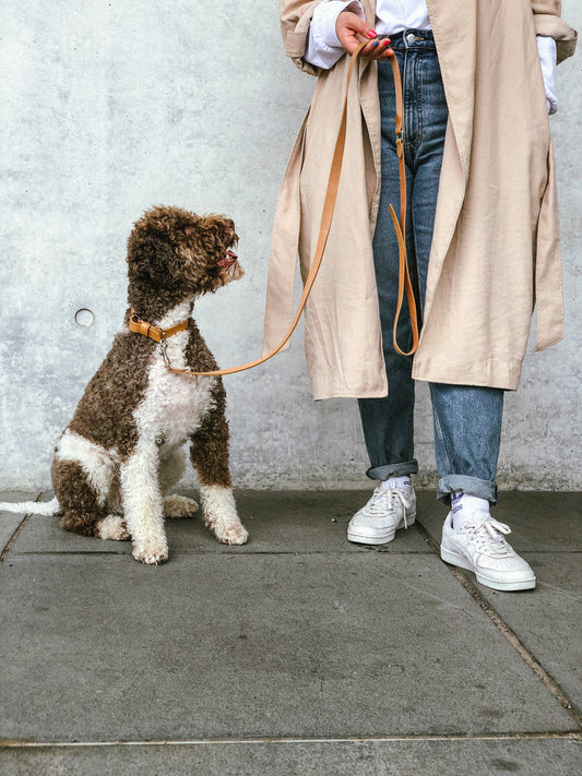 Lussa | Laisse pour chien en cuir italien - Camel