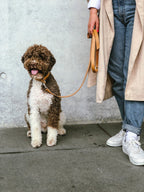 Lussa | Laisse pour chien en cuir italien - Camel