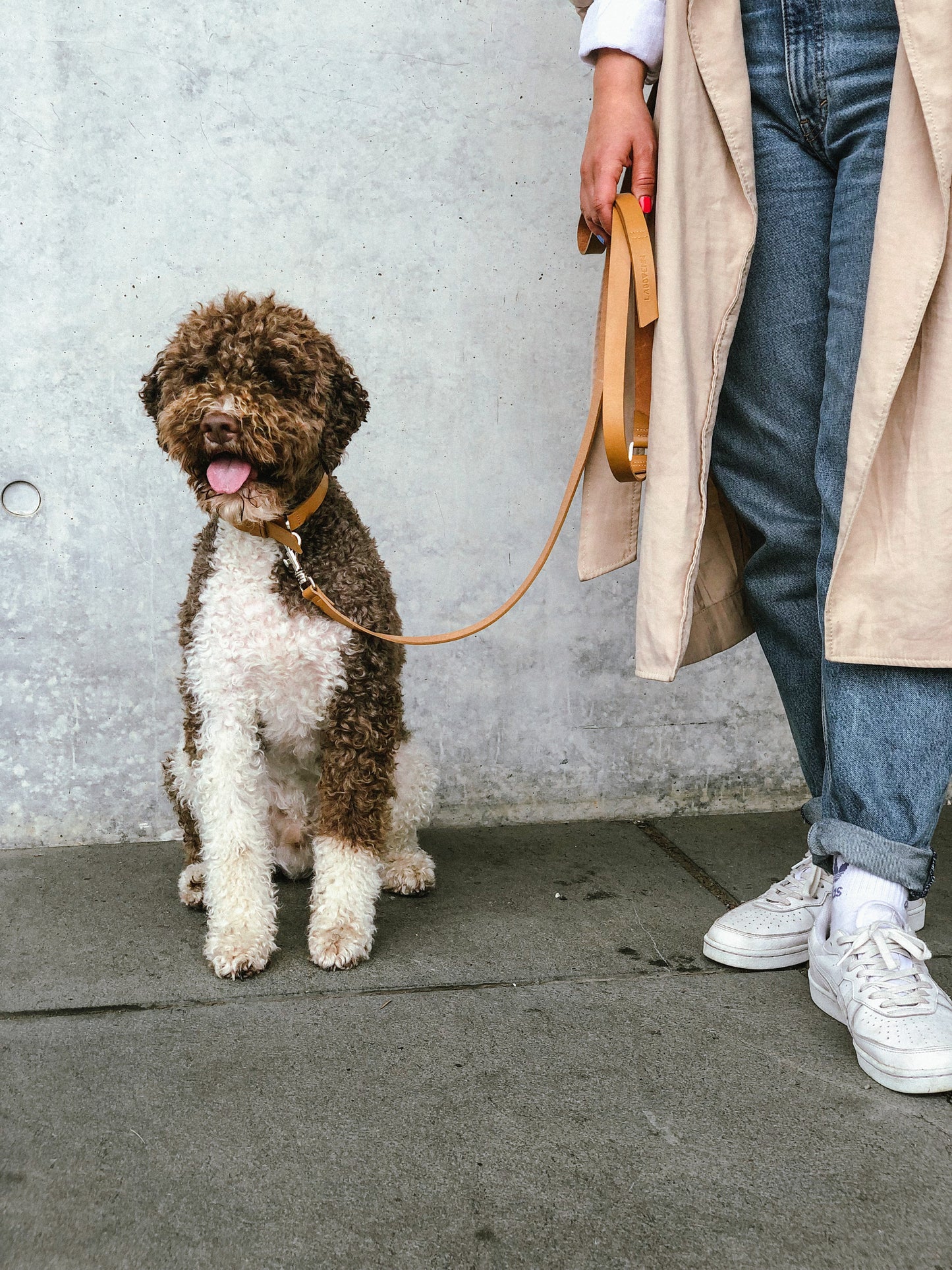 Lussa | Laisse pour chien en cuir italien - Camel