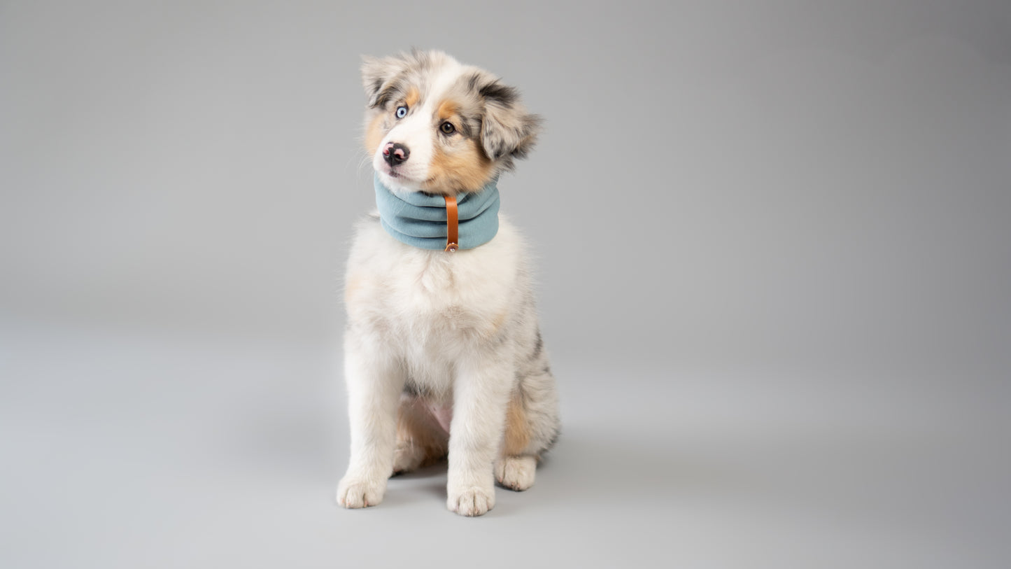 Inko | Cache-cou pour chien