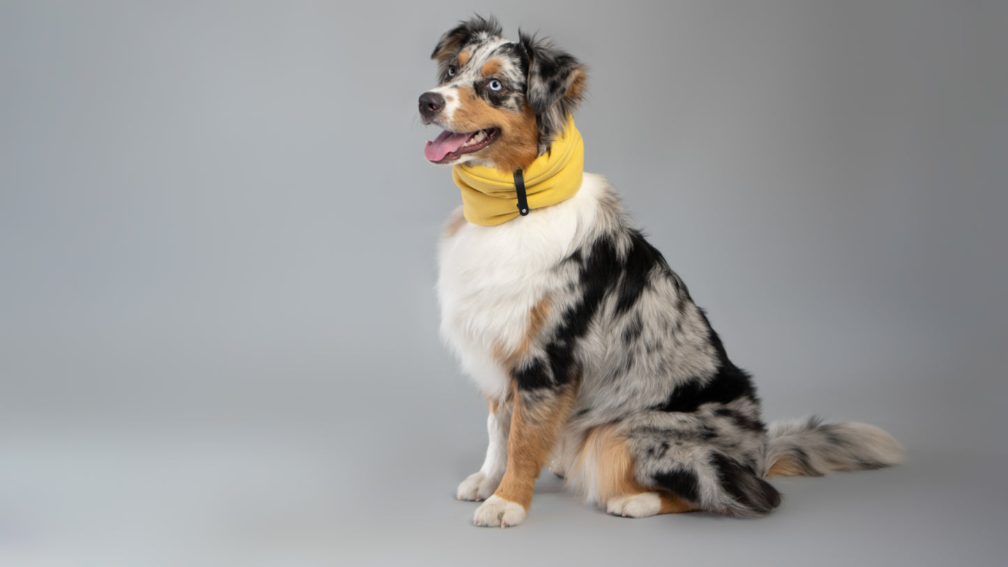 Inko | Cache-cou pour chien