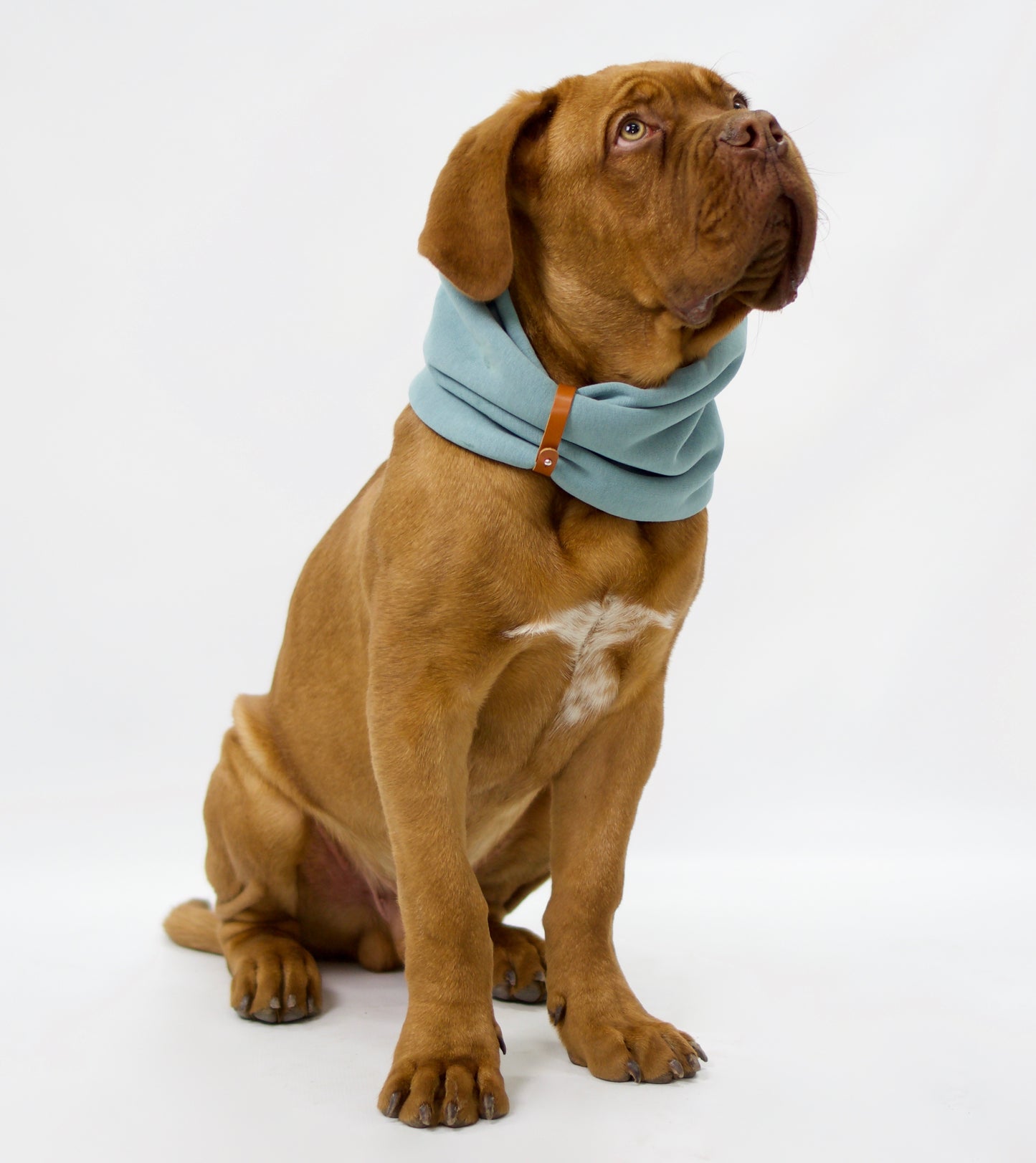 Inko | Cache-cou pour chien
