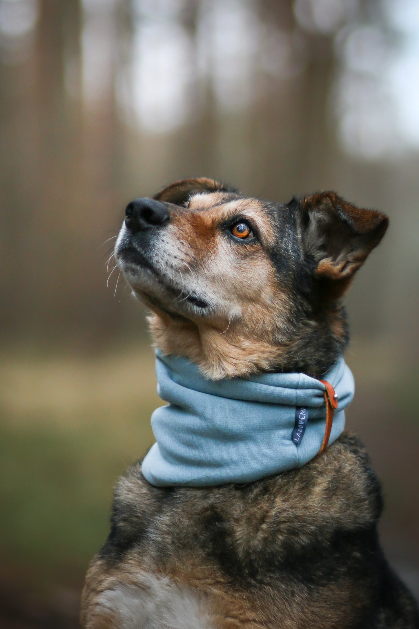 Inko | Cache-cou pour chien