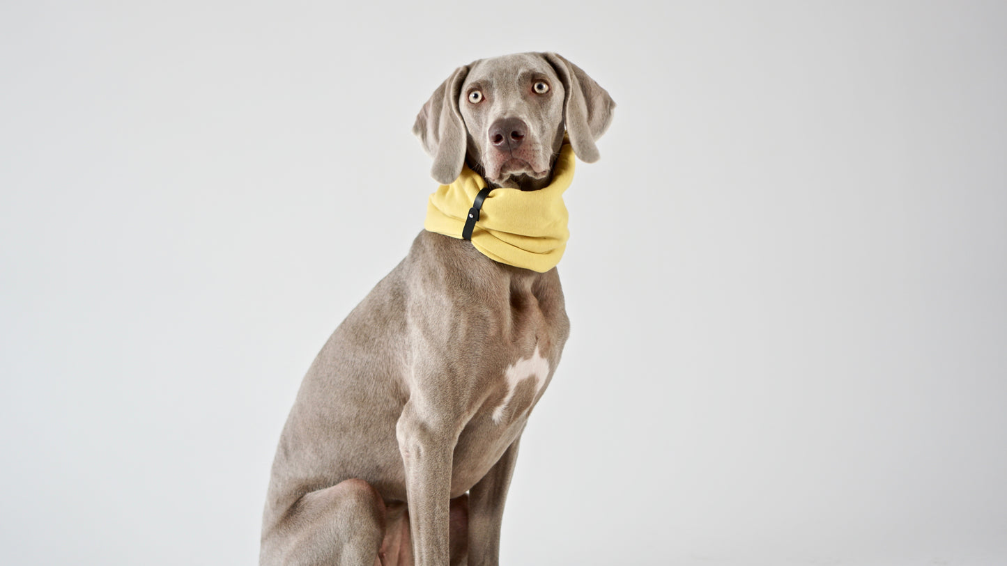 Inko | Cache-cou pour chien