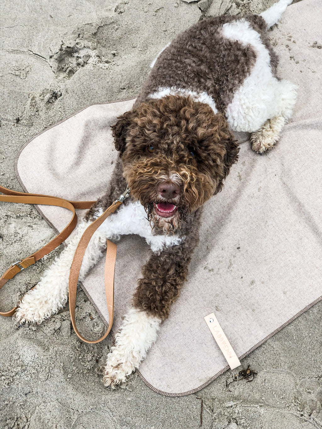 Asnen | Couverture en laine naturelle chaude et élégante pour chien