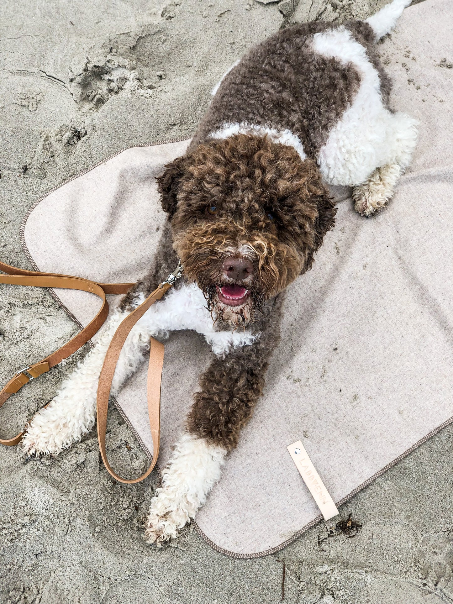 Asnen | Couverture en laine naturelle chaude et élégante pour chien