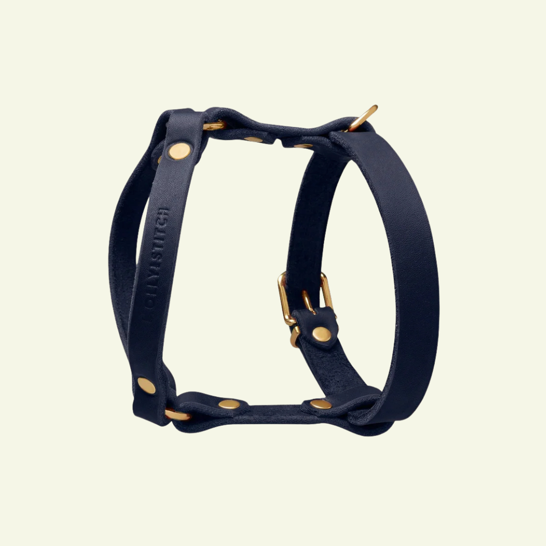 Butter Y | Harnais pour chien en cuir, finition laiton ou acier (10 coloris)