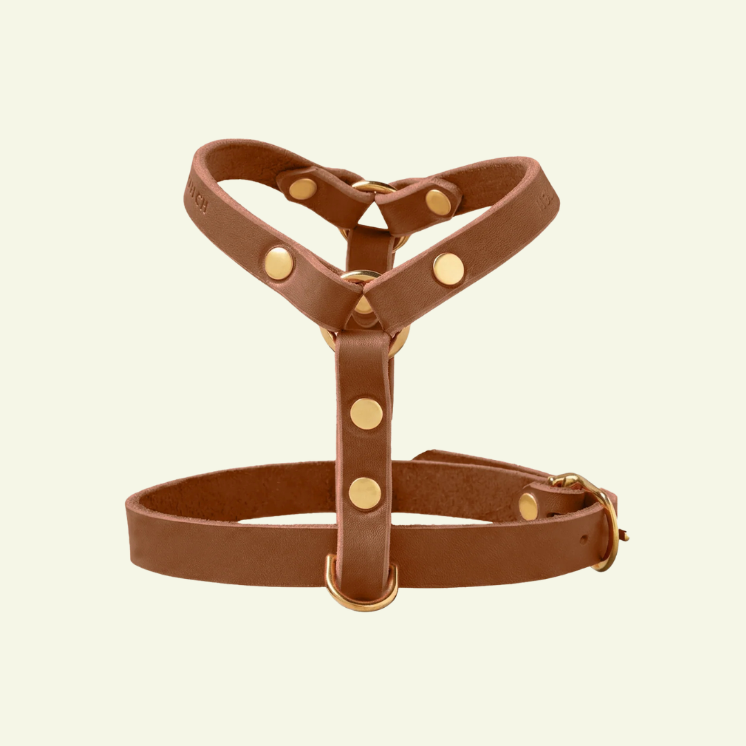 Butter Y | Harnais pour chien en cuir, finition laiton ou acier (10 coloris)
