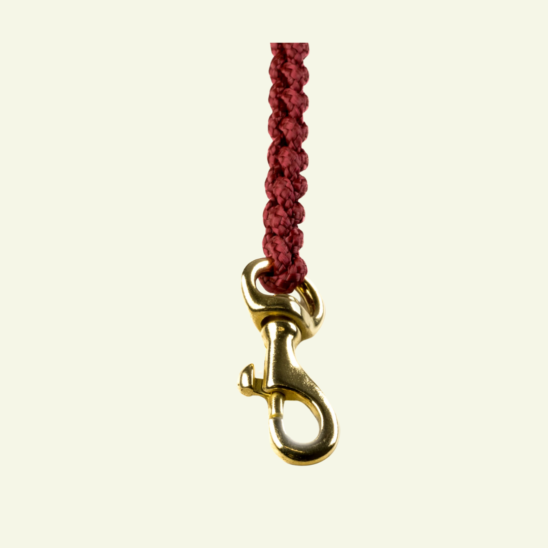 Touch | Laisse pour chien en corde et cuir – Finition laiton ou acier (9 coloris) - Jean - Poil - Bordeaux