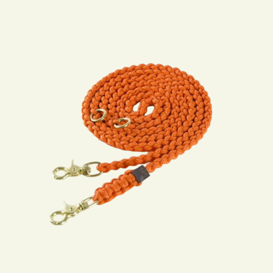 Maritime | Laisse multipositions pour chien en corde – Finition laiton ou acier (11 coloris)