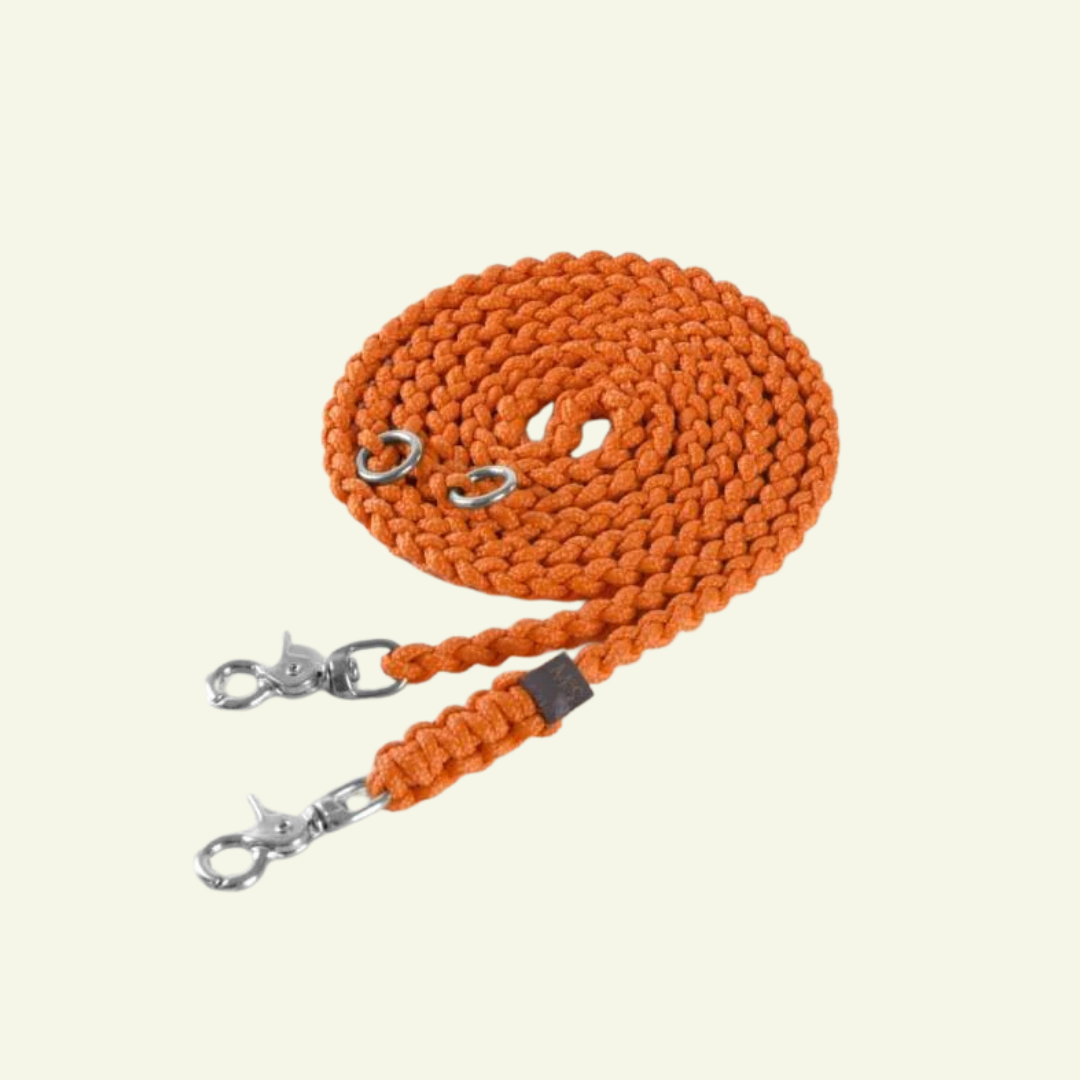 Maritime | Laisse multipositions pour chien en corde – Finition laiton ou acier (11 coloris)