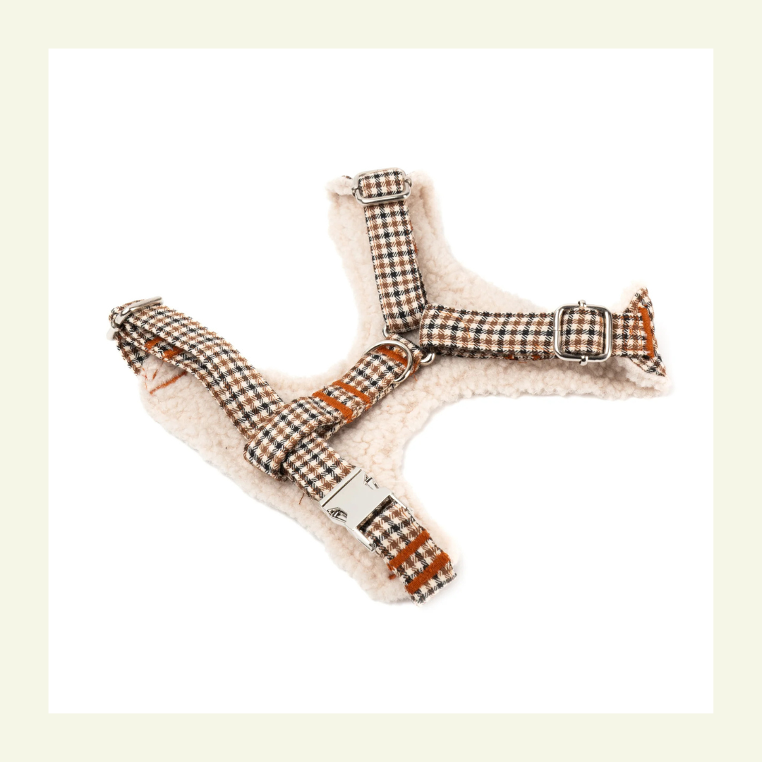 Roméo | Harnais Chest pour chien, motif pied de poule marron, fait main - Jean-Poil