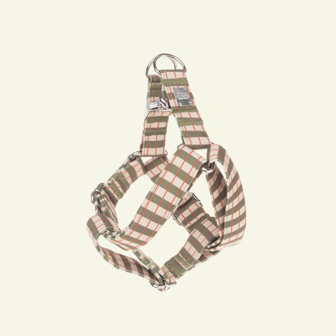 Matcha | Harnais simple motif graphique, fait main