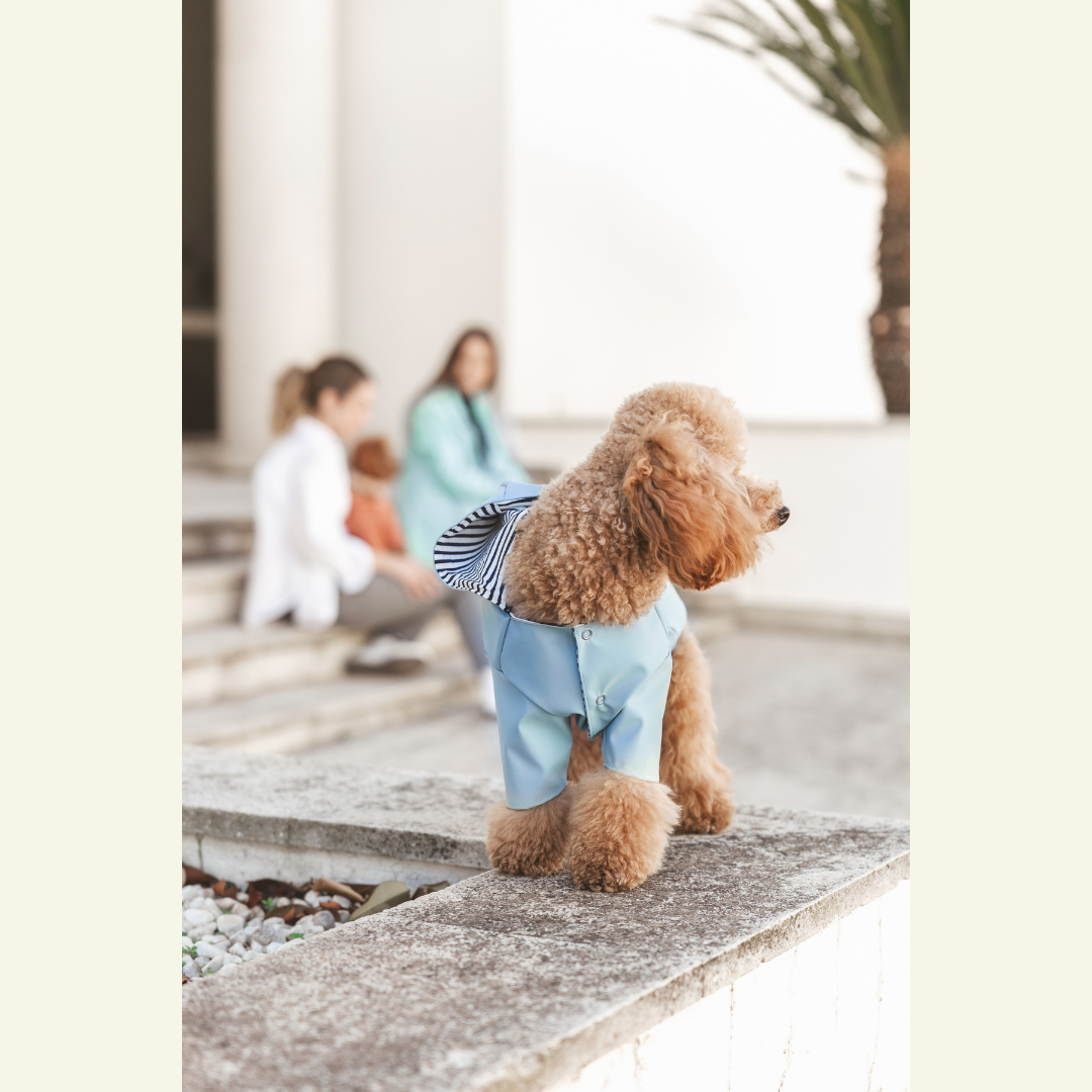 Simon | Imperméable léger pour chien – Protection pluie mi - saison, fait main - Jean - Poil