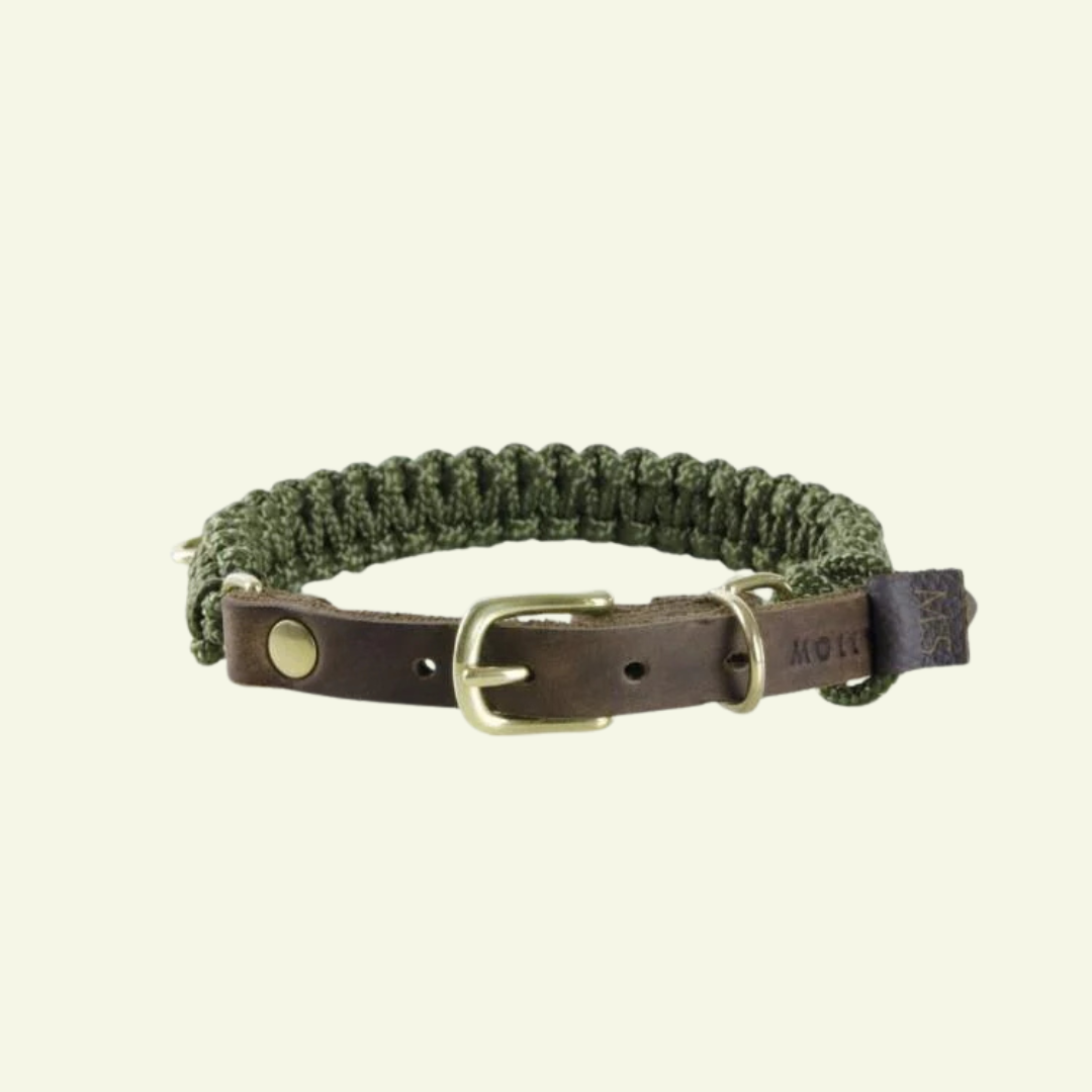 Touch | Collier pour chien en corde et cuir – Finition laiton ou acier (9 coloris) - Jean - Poil - Vert Kaki