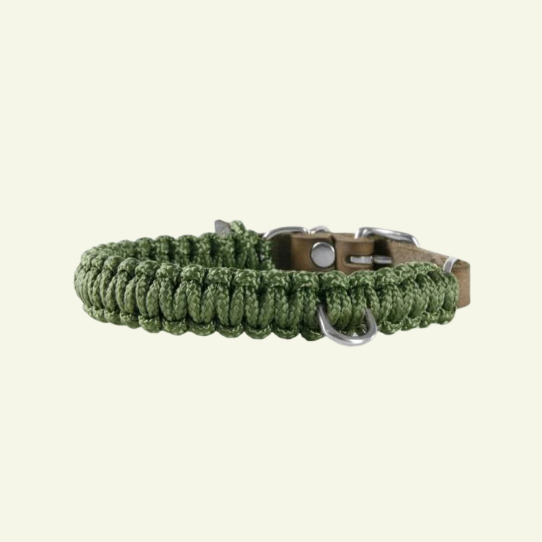 Touch | Collier pour chien en corde et cuir – Finition laiton ou acier (9 coloris) - Jean - Poil - Vert