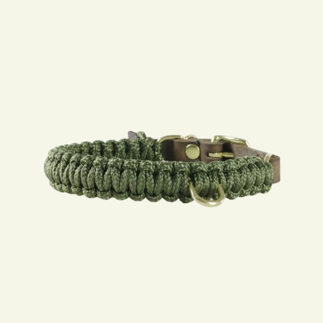Touch | Collier pour chien en corde et cuir – Finition laiton ou acier (9 coloris) - Jean - Poil - Vert