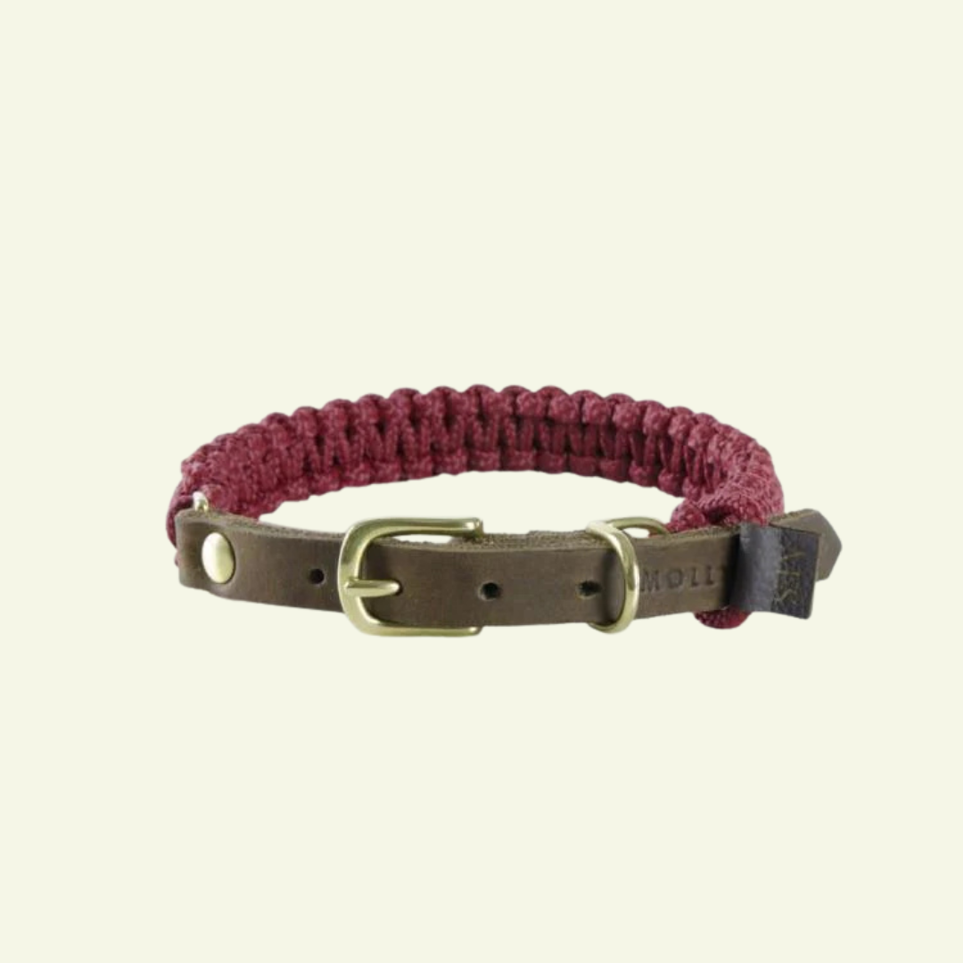 Touch | Collier pour chien en corde et cuir – Finition laiton ou acier (9 coloris) - Jean - Poil - Bordeaux